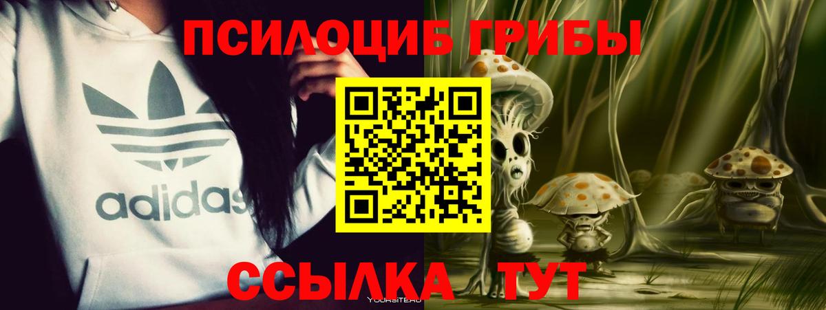 Галлюциногенные грибы Magic Shrooms Выборг